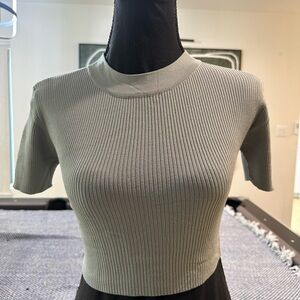 Zara Ribbed Crop Top in Light Gray